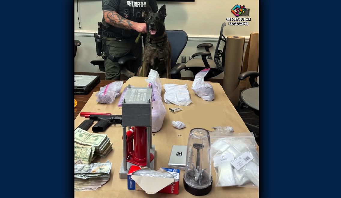 Table covered with seized items including bags of fentanyl, cash, a firearm, drug packaging equipment, and a bullet press, with a sheriff’s K9 and officer standing behind.
