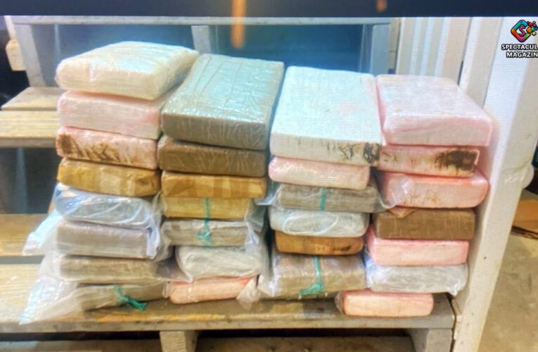 Clayton Woman Sentenced to 11 Years for Laundering Millions, Trafficking Cocaine and Meth in NC