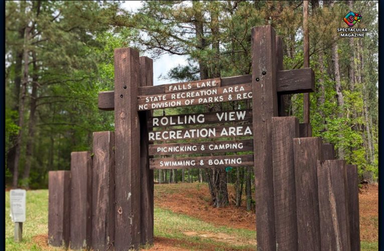 Falls Lake’s Rolling View Swim Area Closed After High E. Coli Levels Detected