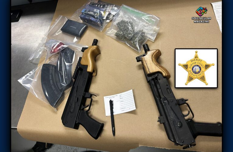 Durham Teen Charged After Deputies Find Guns and Drugs During Traffic Stop