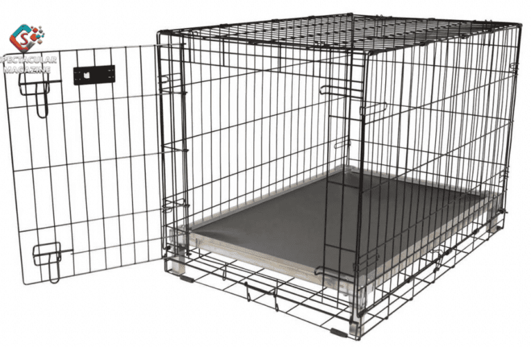 North Carolina Child Dies After Mother Tried To Crate Train Her