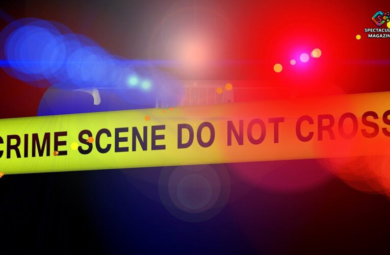 Durham Police investigate homicide involving two small children on Chartwell Court.