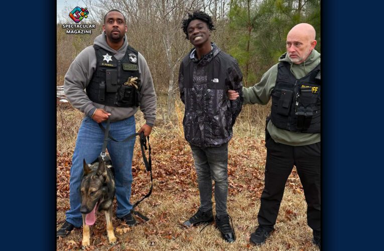 Henderson Teen Arrested After 22-Mile Chase in Stolen Infiniti; Linked to Raleigh Triple Shooting