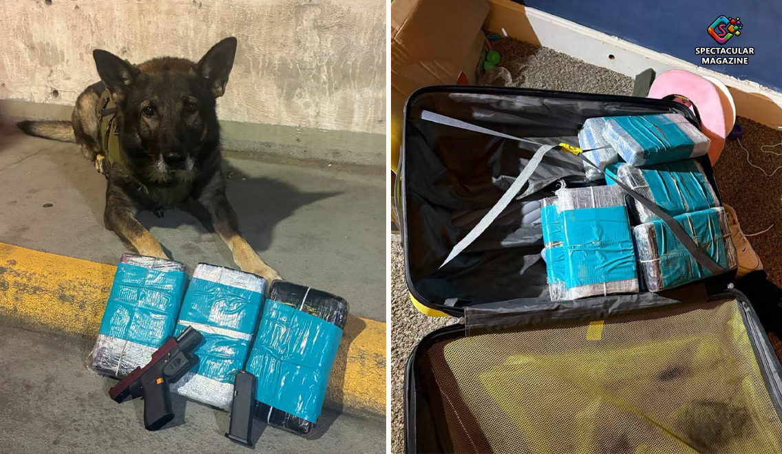 Cocaine and handgun reportedly seized by Wake County Sheriff's Office deputies during a traffic stop that resulted in two arrests and the recovery of approximately 14 kilograms of cocaine.